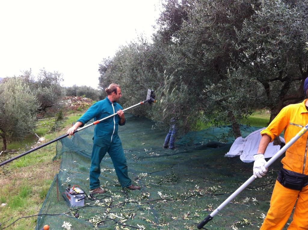 Agriturismo Casa Rosa Verona Ngoại thất bức ảnh