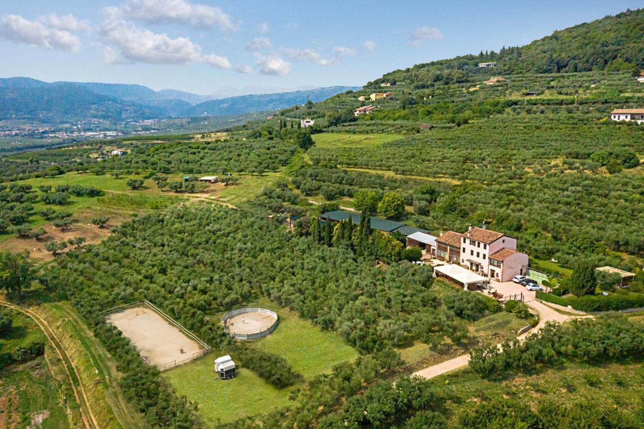 Agriturismo Casa Rosa Verona Ngoại thất bức ảnh
