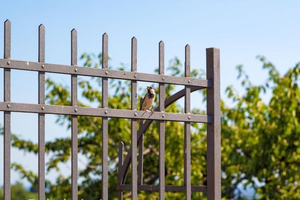 Agriturismo Casa Rosa Verona Ngoại thất bức ảnh
