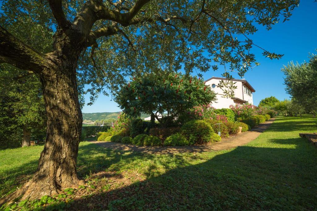 Agriturismo Casa Rosa Verona Ngoại thất bức ảnh